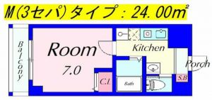 ピュアドミトリーシミズの間取り図