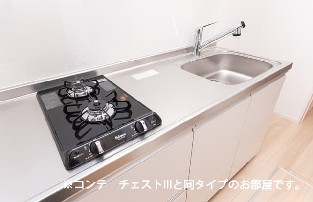 サニーサイド・レオ室内写真